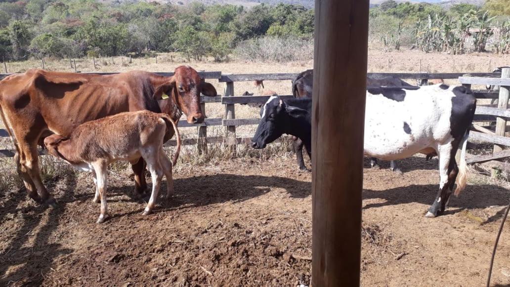 São Roque de Minas Pousada Estancia Macaubas - מראה חיצוני תמונה